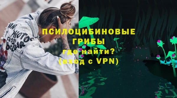 спайс Арсеньев