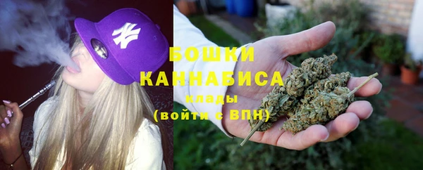 спайс Арсеньев