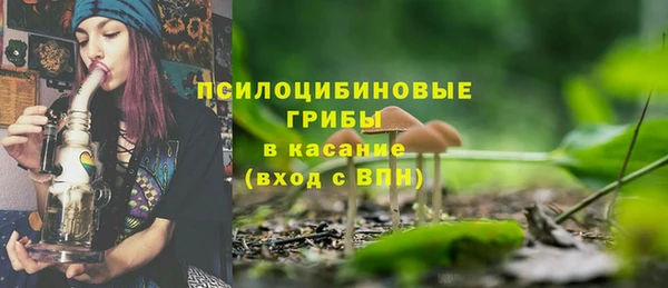 спайс Арсеньев